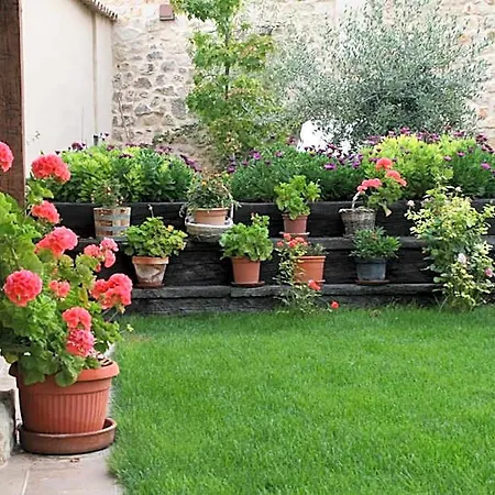 Bed and Breakfast La De Casitas Ampudia